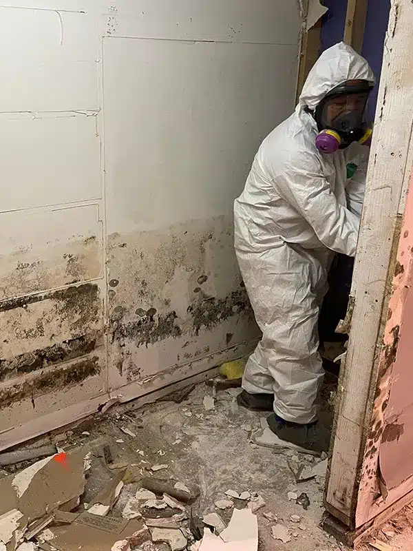 Expert Denver Mold Remediation Services | 1 Source Restoration